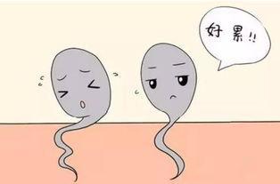 水精液：什么时候引起关注？