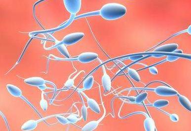 什么样的精子比较健康