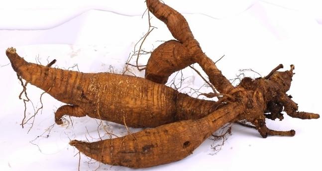 解酒药的种类都有哪些呢？