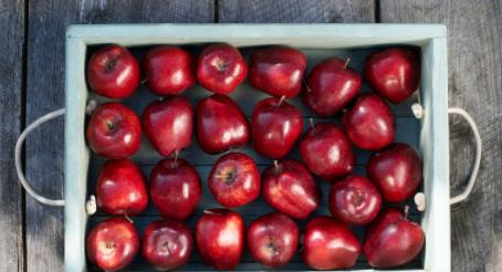 减肥：15种食物可让您长久饱腹