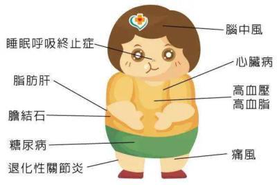 肥胖如何影响预期寿命