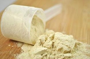 蛋白粉能减肥吗?