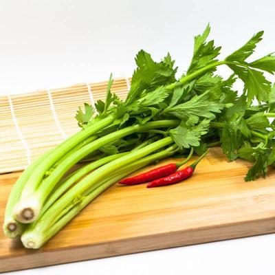 生吃芹菜减肥法