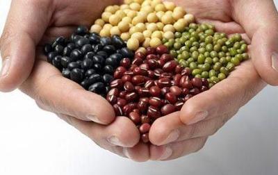 补肾的食物有哪些