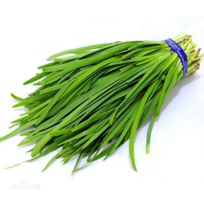 适合早泄人群吃的几种食物