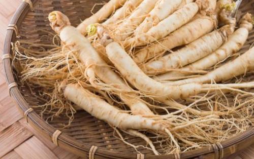 10大壮阳最好最快药有哪些？效果最好中药排行榜前十