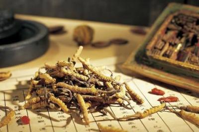 立杆见影的壮阳的偏方有哪些