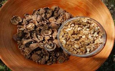 男人补肾吃这6类食物