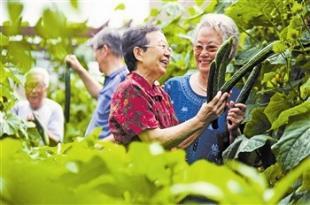 老人补肾小药方