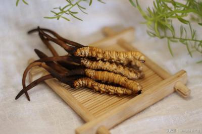 熬夜肾虚食疗补起来