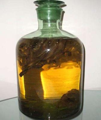补肾壮阳药酒配方