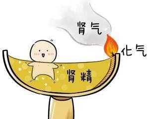 补肾居然也要选时间？什么时间补肾最好？