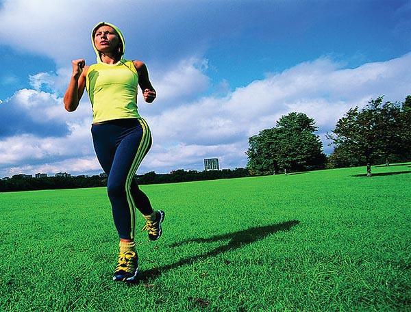 补肾食物真的能补肾吗？