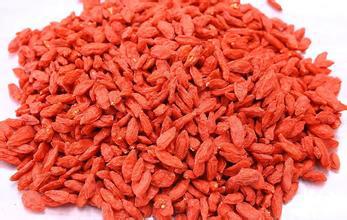 这几款补肾的中药材你都知道吗？