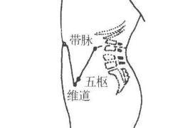 肾阳虚怎么调理？脾胃虚寒怎么调理？推荐4种方法