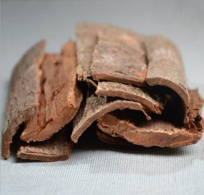 补肾壮阳的食物有那些?