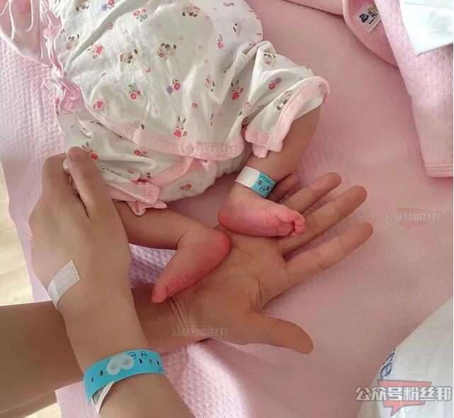 网红“牌牌琦小伊伊”夫妇喜得千金，小伊伊女儿7斤4两，住40万月子中心