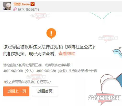 美女网红雪梨Cherie、林珊珊，社交账号被封禁，疑似双双被封杀？