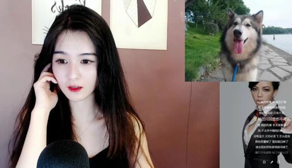 羊鹿鹿jessie被狗叼走内衣后，斗鱼是薇薇吖被狗扑上身险走光，直播间违规封禁