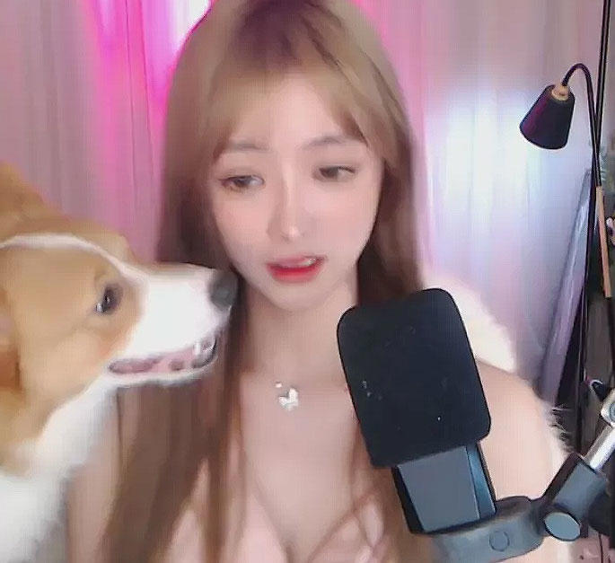 羊鹿鹿jessie被狗叼走内衣后，斗鱼是薇薇吖被狗扑上身险走光，直播间违规封禁