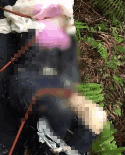 温州20岁女孩滴滴顺风车受害者遗体照片曝光 网友：太畜生