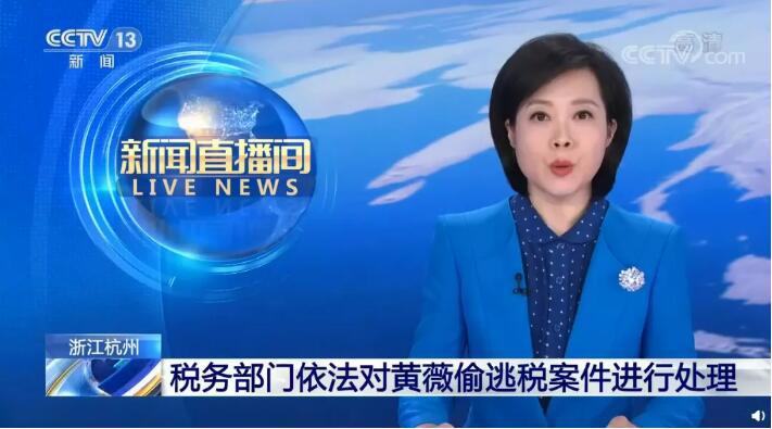 薇娅逃税罚款共计13.41亿，已被全网多个平台全网封杀，薇娅个人资料简介