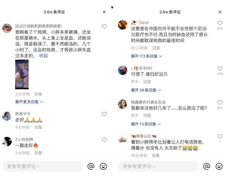 小胖闯非洲尼泊尔遇害，散打哥携众网红募捐，爆料是言语挑衅导致