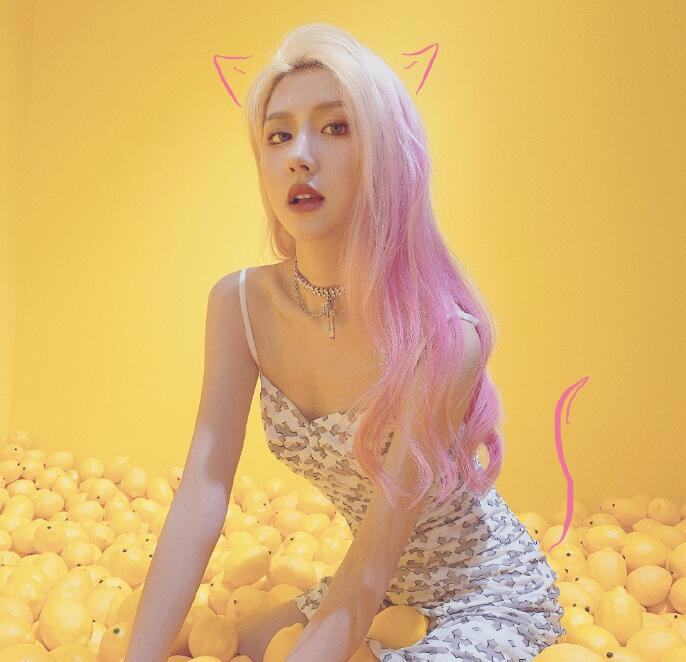 抖音天才小火龙身高资料简介，凭借高颜值百变风格走红，单车价值几万