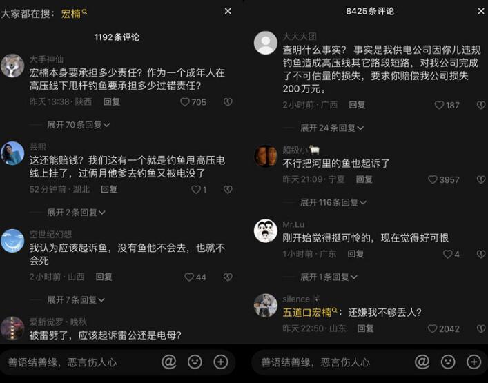 600万粉丝网红触电后续，宏楠父母起诉供电公司，索赔丧葬费等121万