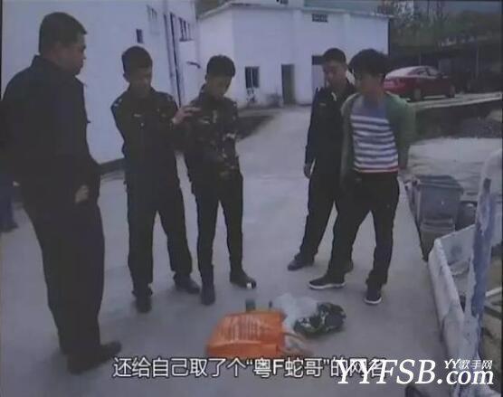 网络直播又摊上事了 快手“粤F蛇哥”直播抓蛇过程被警察抓了
