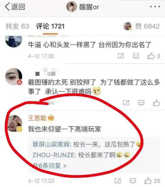 项思醒ppt事件，王思聪赞“高端玩家”，左手CEO右手富二代“老公”！