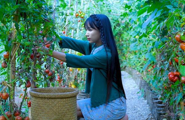 抖音李子柒个人资料，李子柒团队背景身份个人照片，现在什么身价