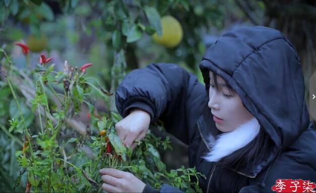 抖音李子柒个人资料，李子柒团队背景身份个人照片，现在什么身价