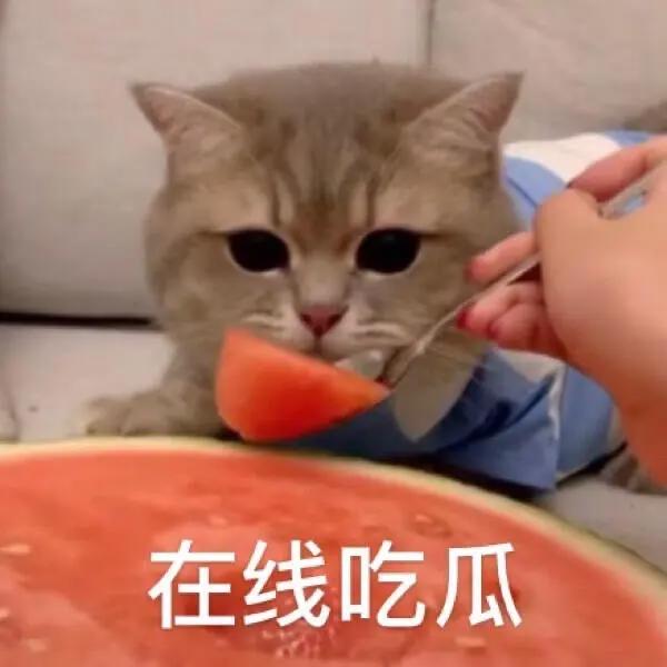 探索瓜神吃瓜 APP:满足您的八卦之心