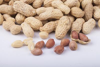 十大补锌的食物有哪些 哪种食物含锌最高