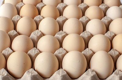 吃什么补肾壮阳最快速 五种食物建议多吃