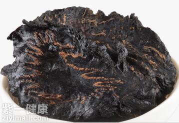 肉苁蓉的副作用是什么 详解肉苁蓉的副作用