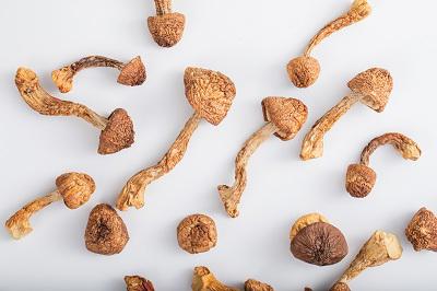 补雌性激素最有效15种食物 补雌激素多吃这些食物