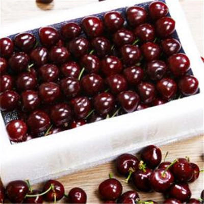 延缓衰老吃什么东西最好 常吃这些抵抗衰老