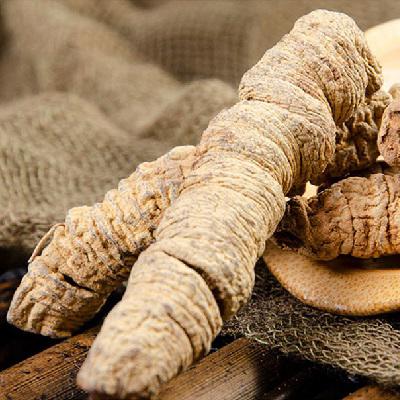 壮阳最快最猛的中药 介绍八大中草药材