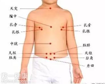 拔罐减肥穴位有哪些 【详解】拔罐减肥位置图