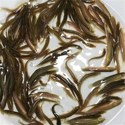 男人吃什么壮阳快 吃三种食物壮阳最快