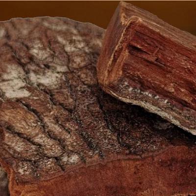 卡宾达树皮的真实作用 卡宾达树皮的4大功效