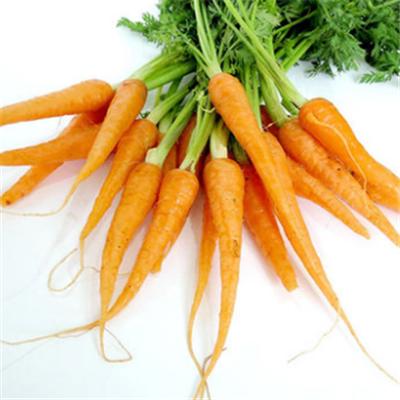 保养卵巢吃什么最好 四大食物不可错过