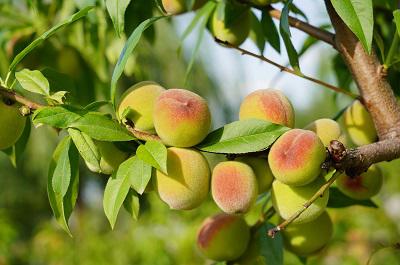 外阴瘙痒最简单的方法 三个方法改善瘙痒