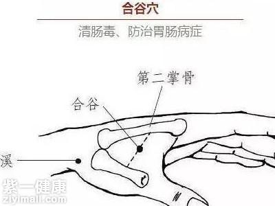 合谷穴位位置图 全面了解合谷穴