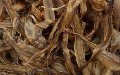 地龙的主要功效有哪些 地龙五大功效要知道详