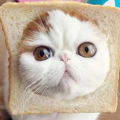 揭秘男人婚后为什么会发胖？