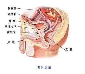 女生同房后不洗不尿，后果竟然这么严重