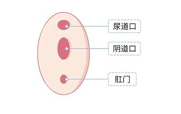 女生同房后不洗不尿，后果竟然这么严重